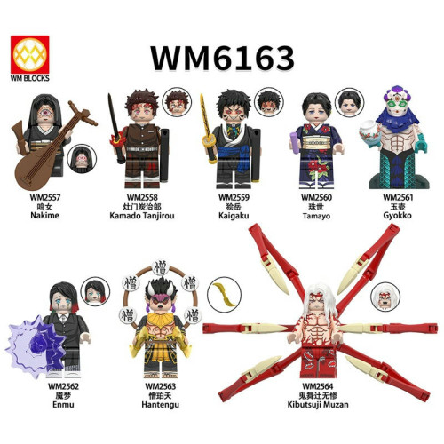 WM6163