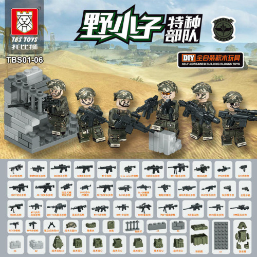 TBS01-06
