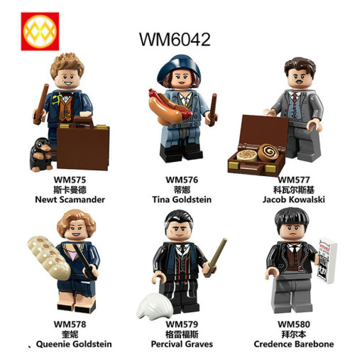WM6042