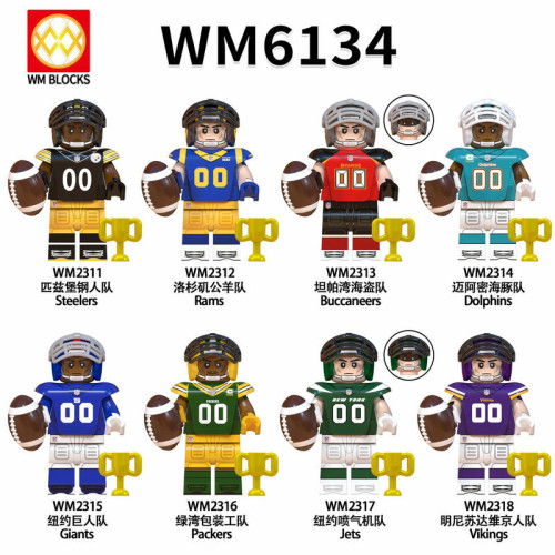 WM6134