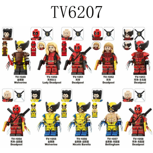 TV6207