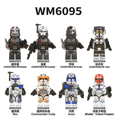 WM6095