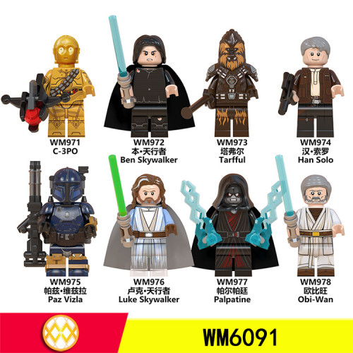 WM6091