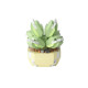 YUGAO P1246-P1269