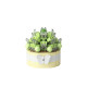 YUGAO P1246-P1269