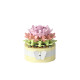 YUGAO P1246-P1269