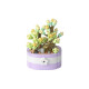 YUGAO P1246-P1269